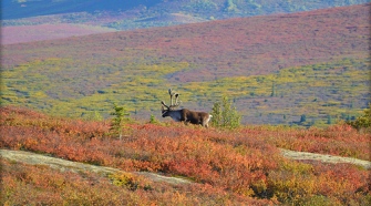 National Parks For Nature Photographers