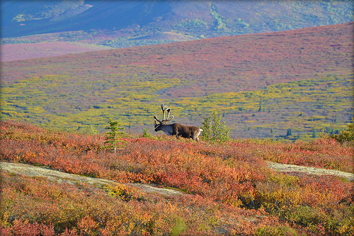 National Parks For Nature Photographers