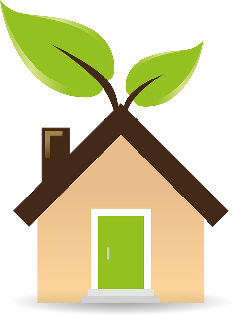 Small Changes That Make A Big Difference: Simple Ways To Make An Eco-Friendly Home