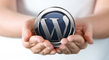 wordpress web design