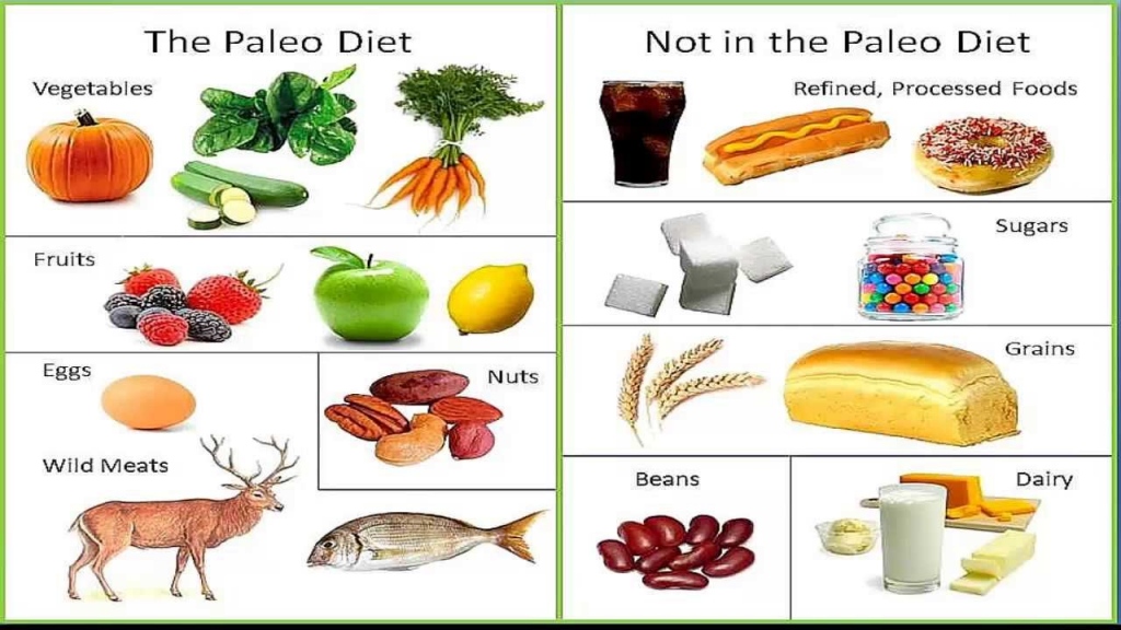 Paleo diet