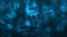 Tips For Creating Your Professional Online Presence Using Wordpress
