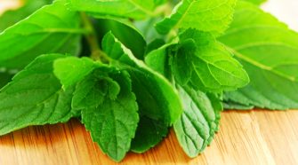 Benefits Of Eating Herbal Diet For Health