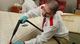 Hire An Expert Bed Bug Exterminator