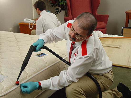 Hire An Expert Bed Bug Exterminator