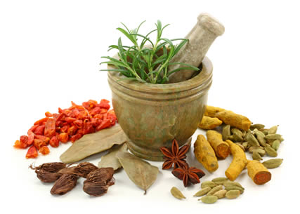 Herbal Medication To Relieve Pain