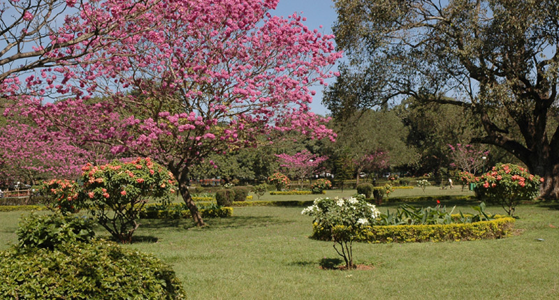 Take A Trip To The Capital Of Former Mysore State - Bangalore