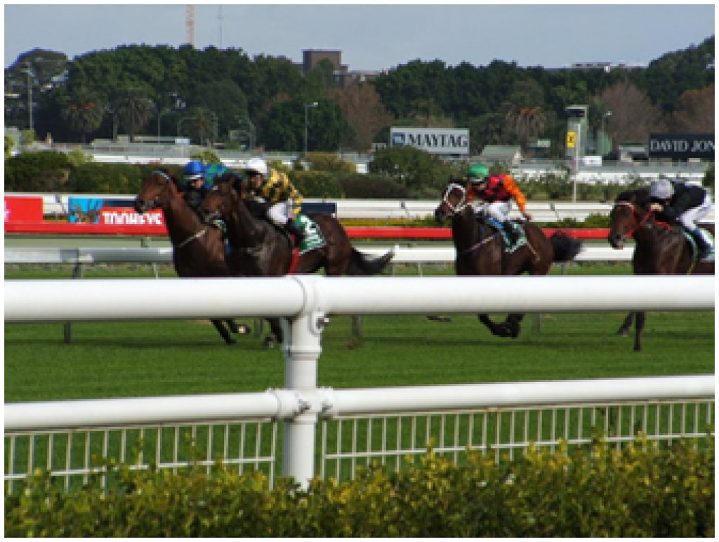 Betting On Horse Racing – An Introduction For Dummies