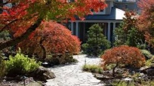 Landscaping Options Using Stone
