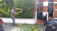 Highly Professional Tree Surgeons In Harrow