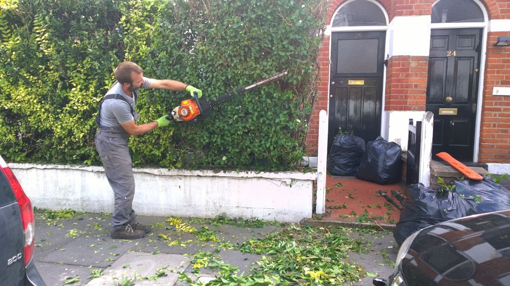 Highly Professional Tree Surgeons In Harrow