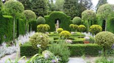 10 Factors That Must Be Considered For Blissful Gardening