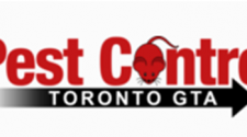 Efficient Professional Pest Control Service Toronto for Effective Pest Management