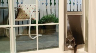 Selecting The Right Pet Flaps For Your Wooden Exterior Doors