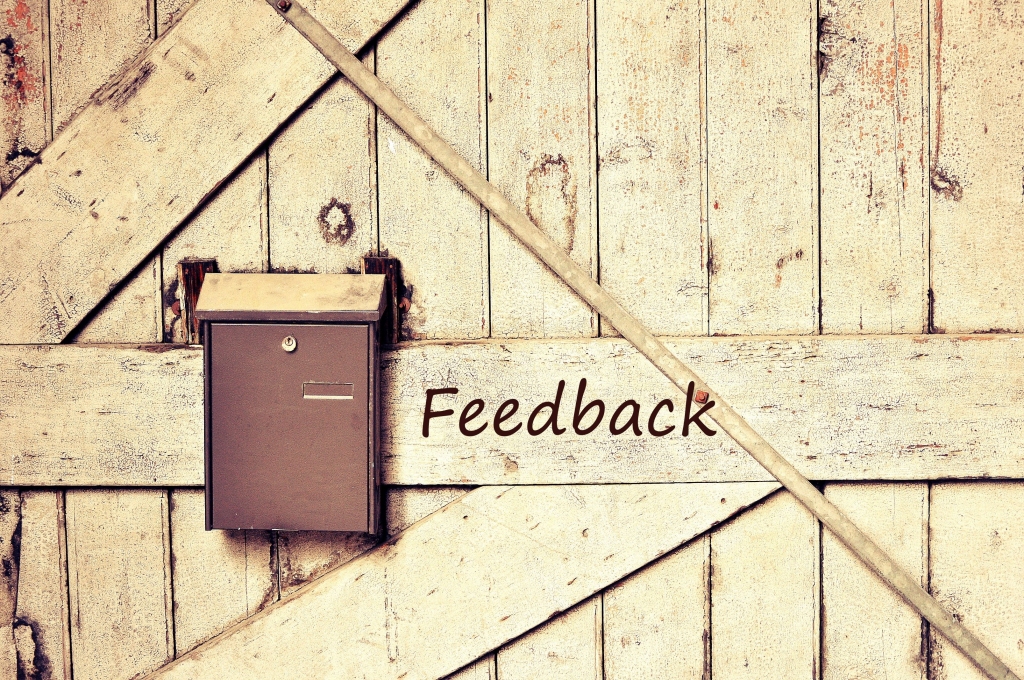 Why You Should Harness The Power Of Customer Feedback?