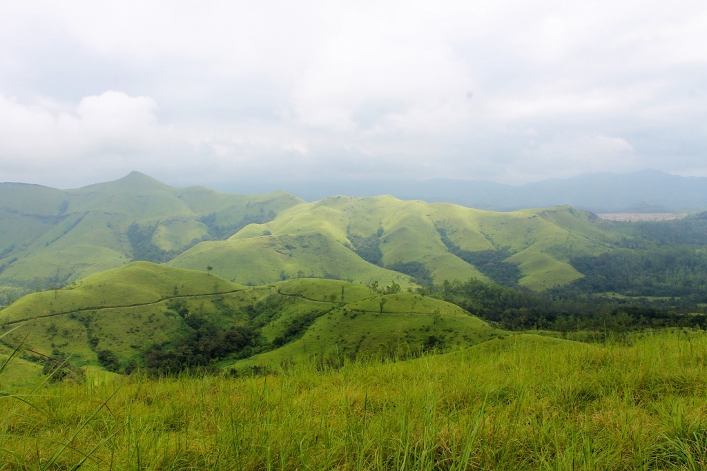 Kudremukh National Park