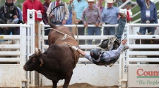 Making Events Entertaining With Rodeo Bull Rides