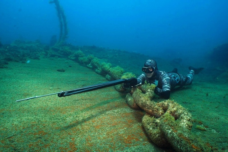 Tips For Spearfishing Safety
