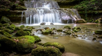 Beautiful Nature: 3 Most Amazing Parks In Zurich