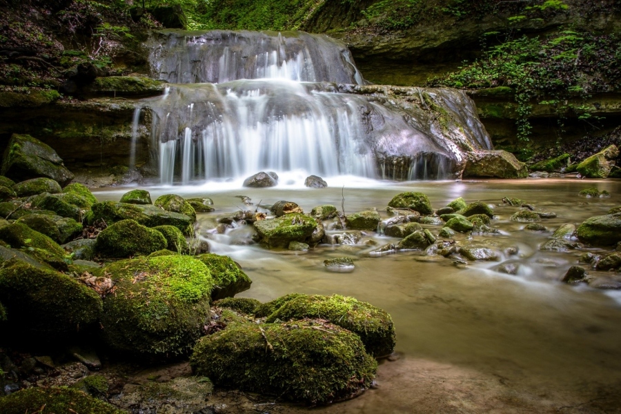 Beautiful Nature: 3 Most Amazing Parks In Zurich