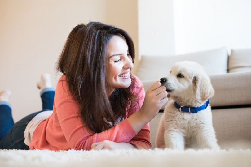 5 Ways In Which A Pet Can Improve Your Health