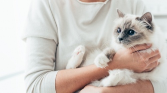 What To Consider Before Getting A Family Pet