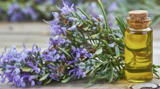 rosemary essential oils