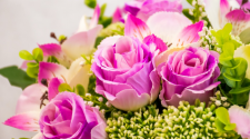 Here's Why Buying Flowers Online Can Be A Budgeted Option