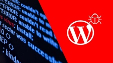4 Ways In Which Malware Can Harm Your WordPress Website