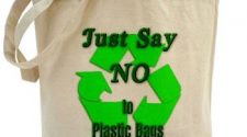 Reusable vs. Conventional Plastic Bag - Fiction & Fact Revealed