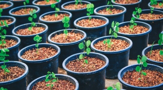 Choosing The Best Plastic Plant Pots For Gardening – Hone Your Skills