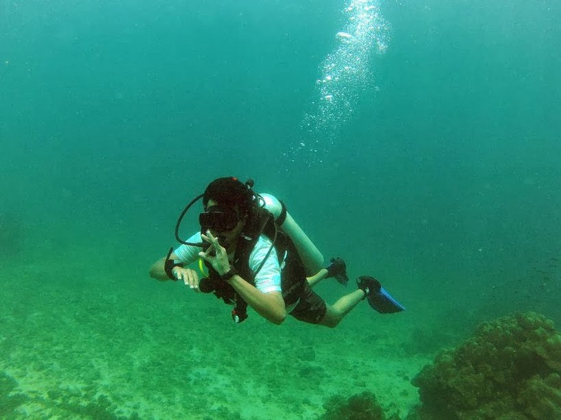 Goa underwater