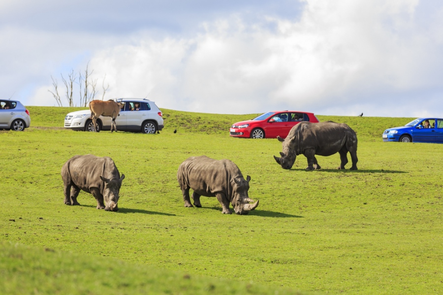 Educational Breaks To Enjoy This Spring Half-Term