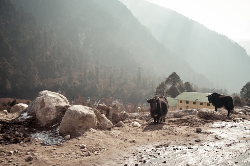 13 Most Iconic Places to Visit In North East India