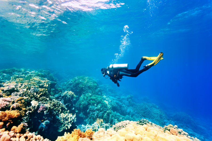 Top 12 Amazing &amp; Adventurous Sports Across The World