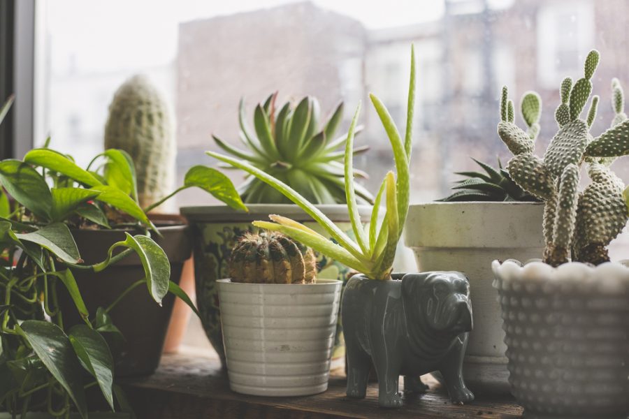 16 Exquisite Products to Decorate Your Living Space